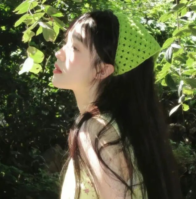 九重紫
